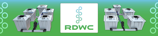 Growers Corner | How to grow in the RDWC system