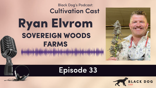 Growing with the V-SYSTEM: Interview with Ryan Elvrom of Sovereign Woods Farms