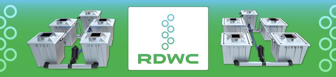 Growers Corner | How to grow in the RDWC system