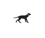 Distributed by Black Dog
